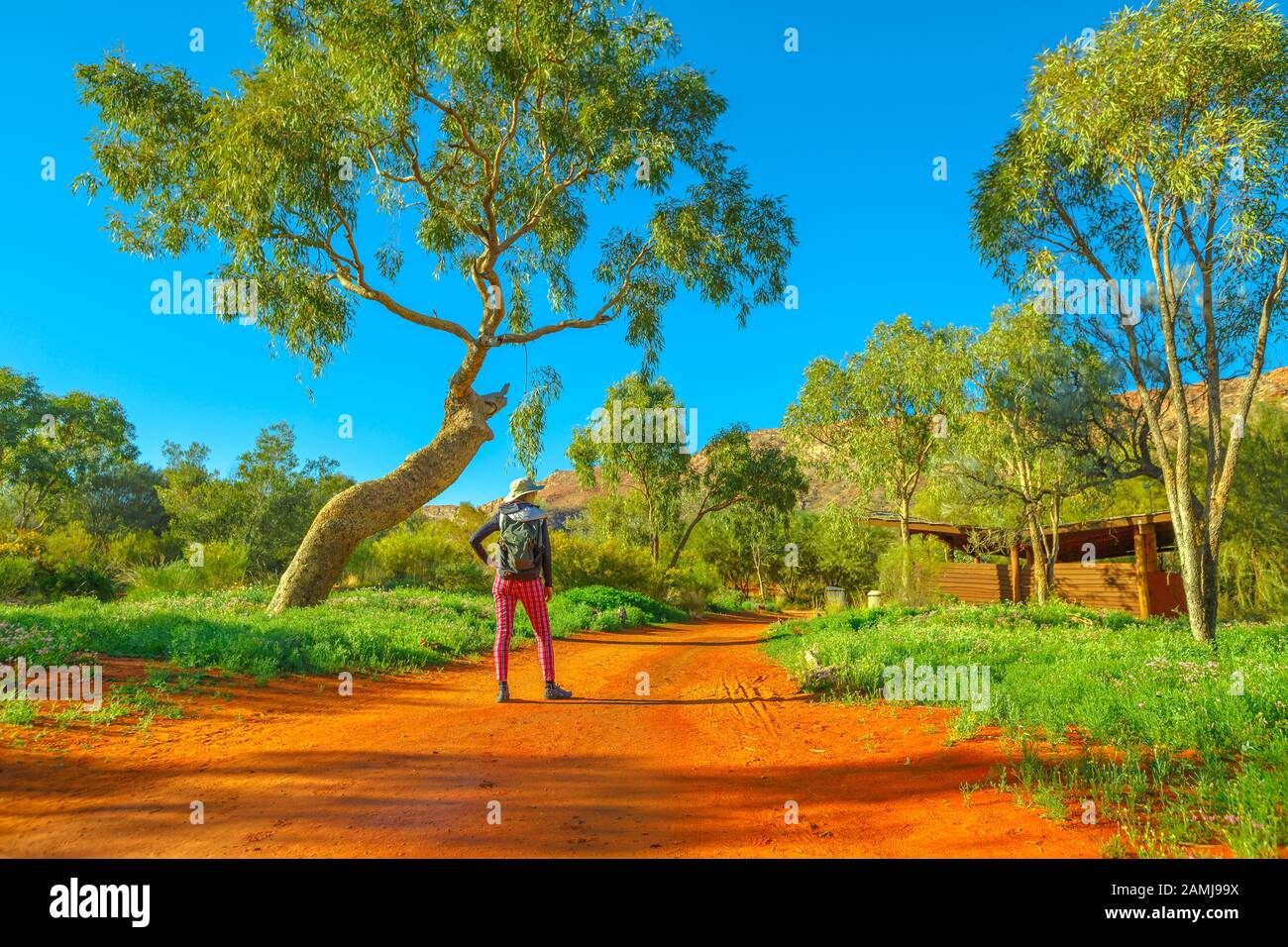 Femme routard marchant sur le sable rouge avec la végétation du bush et explorez le Desert Park à Alice Springs près de MacDonnell Ranges. Tourisme dans le Nord Banque D'Images