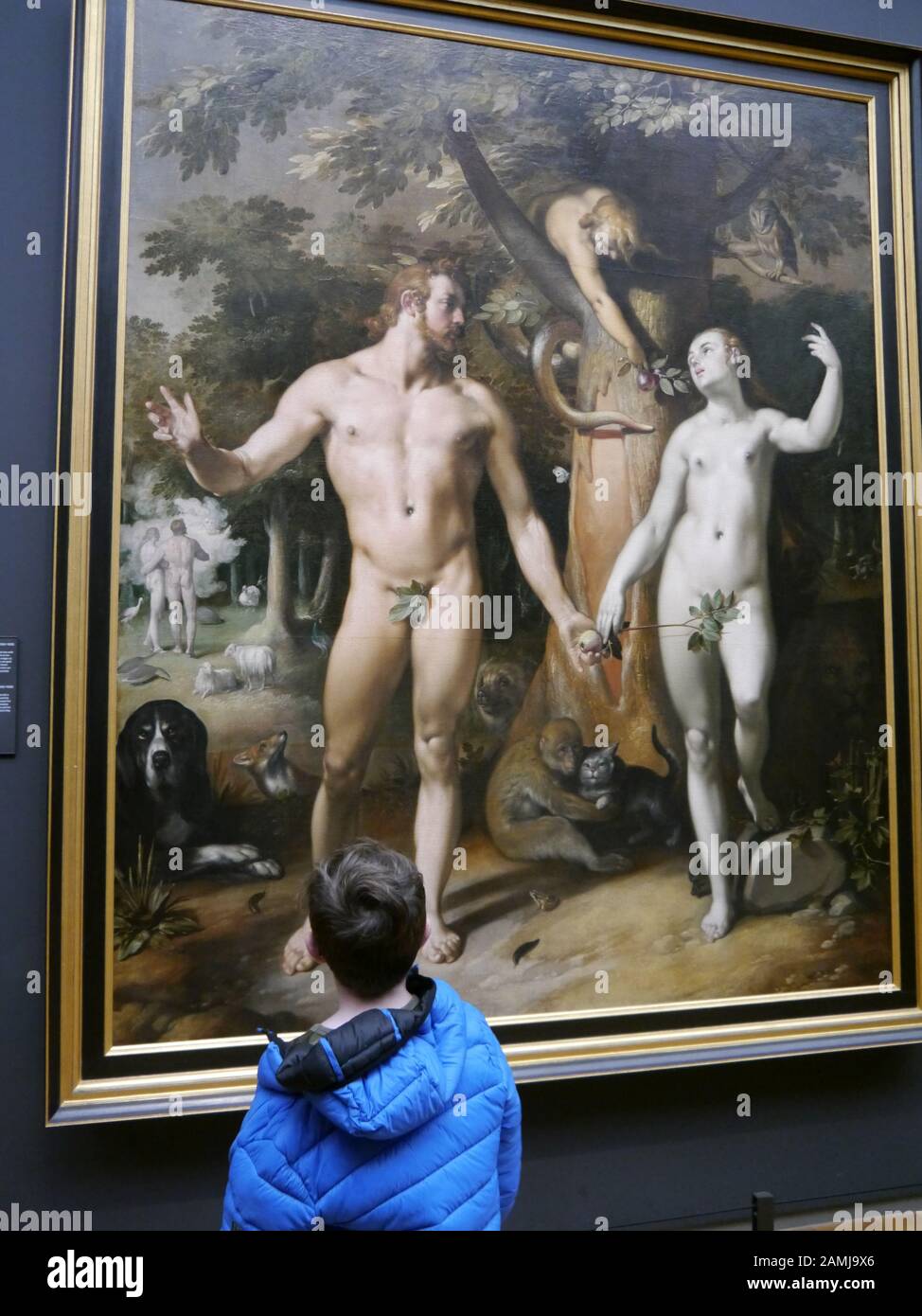 Un jeune garçon regarde l'œuvre d'art 'la chute de l'Homme' de Cornelis Cornelisz van haarlem, dans le Rijkmuseum, Amsterdam, Pays-Bas. Banque D'Images