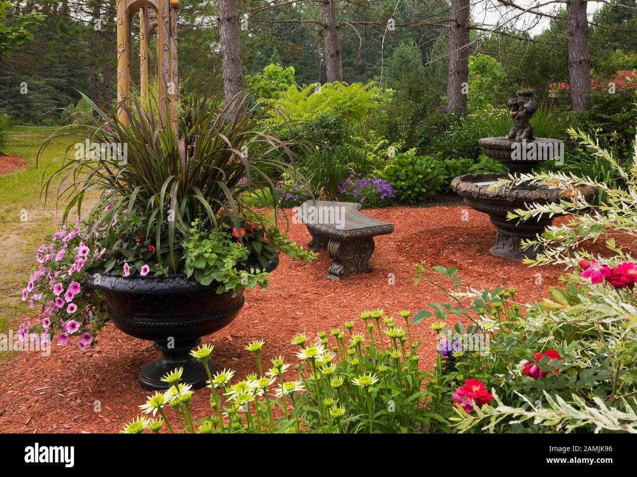 Red Rosa - fleurs roses et semoir noir avec fleurs Petunia x hybrida 'Easy Wave Plum Vein' à côté du banc de style romain et fontaine d'eau. Banque D'Images