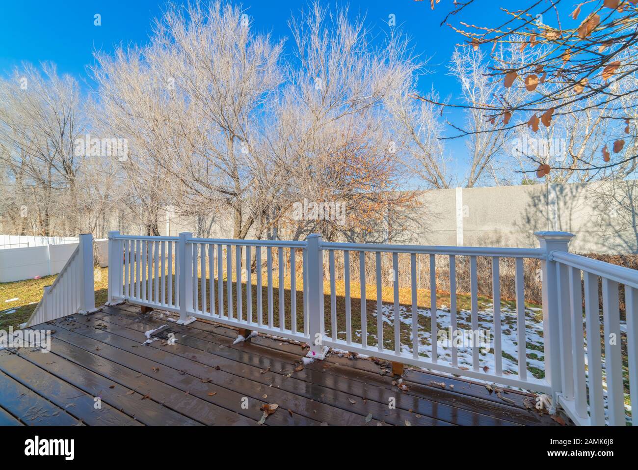 Terrasse en bois humide donnant sur un jardin d'hiver Banque D'Images