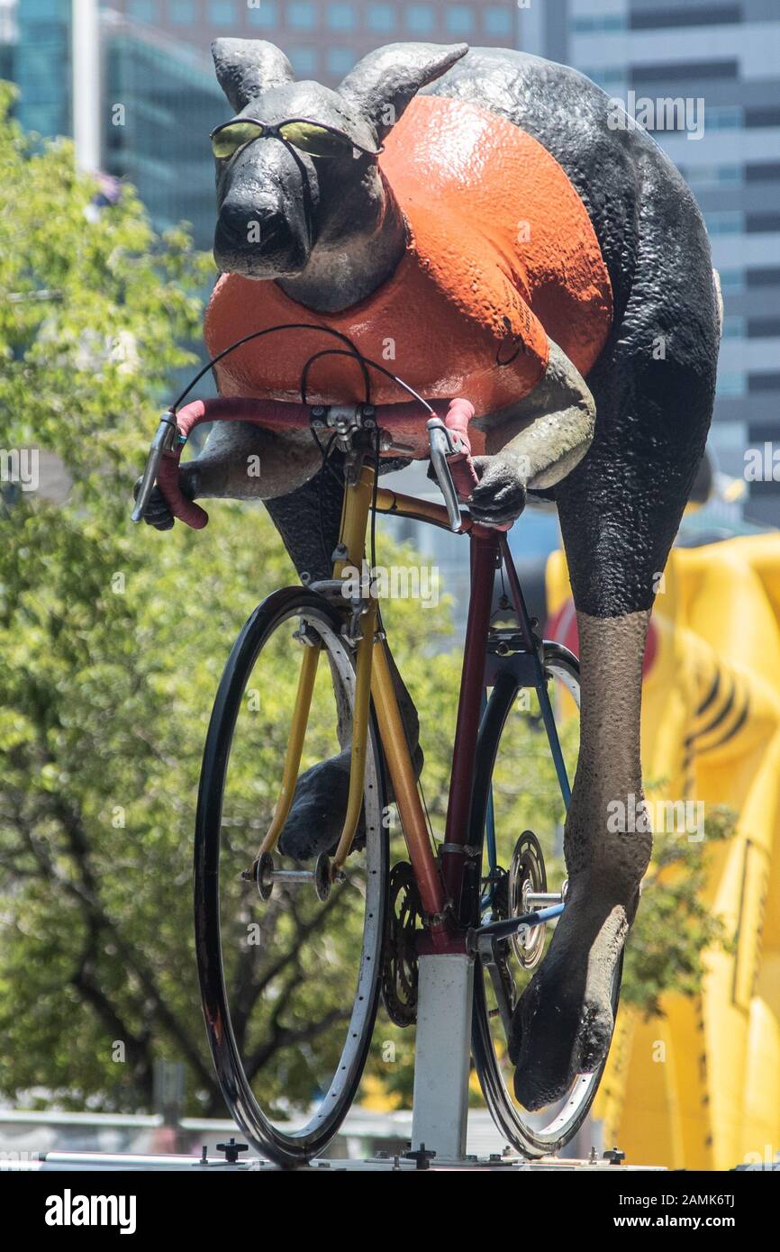 Adelaide Australie. 14 Janvier 2020. Un kangourou geant qui monte a velo s affiche en haut d un tour car officiel en preparation du Tour Down Sous la course cycliste qui commence le 21 janvier