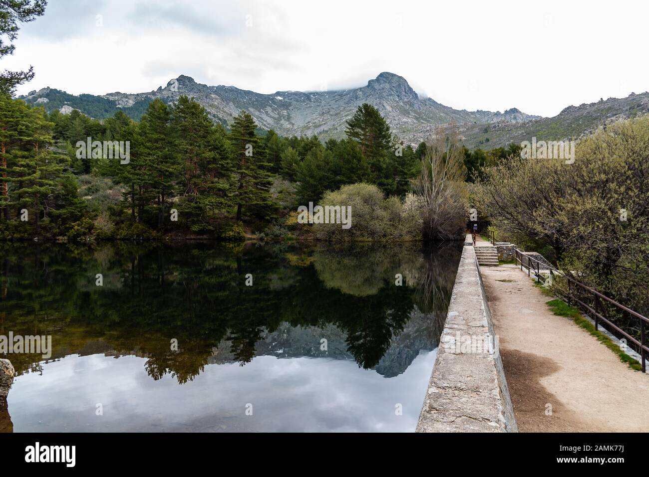 Vue pittoresque sur le barrage de montagne et la forêt de pins pendant une journée malteuse. Navacerrada, Madrid Banque D'Images
