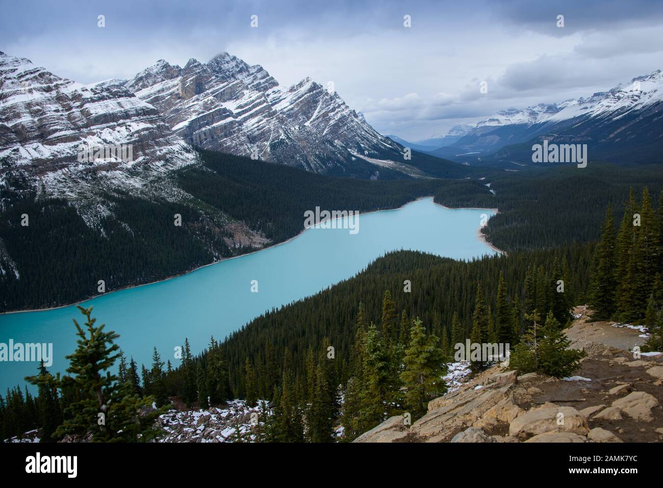 Le lac Peyto est un lac alimenté par des glaciers dans le parc national Banff, dans les Rocheuses canadiennes Banque D'Images