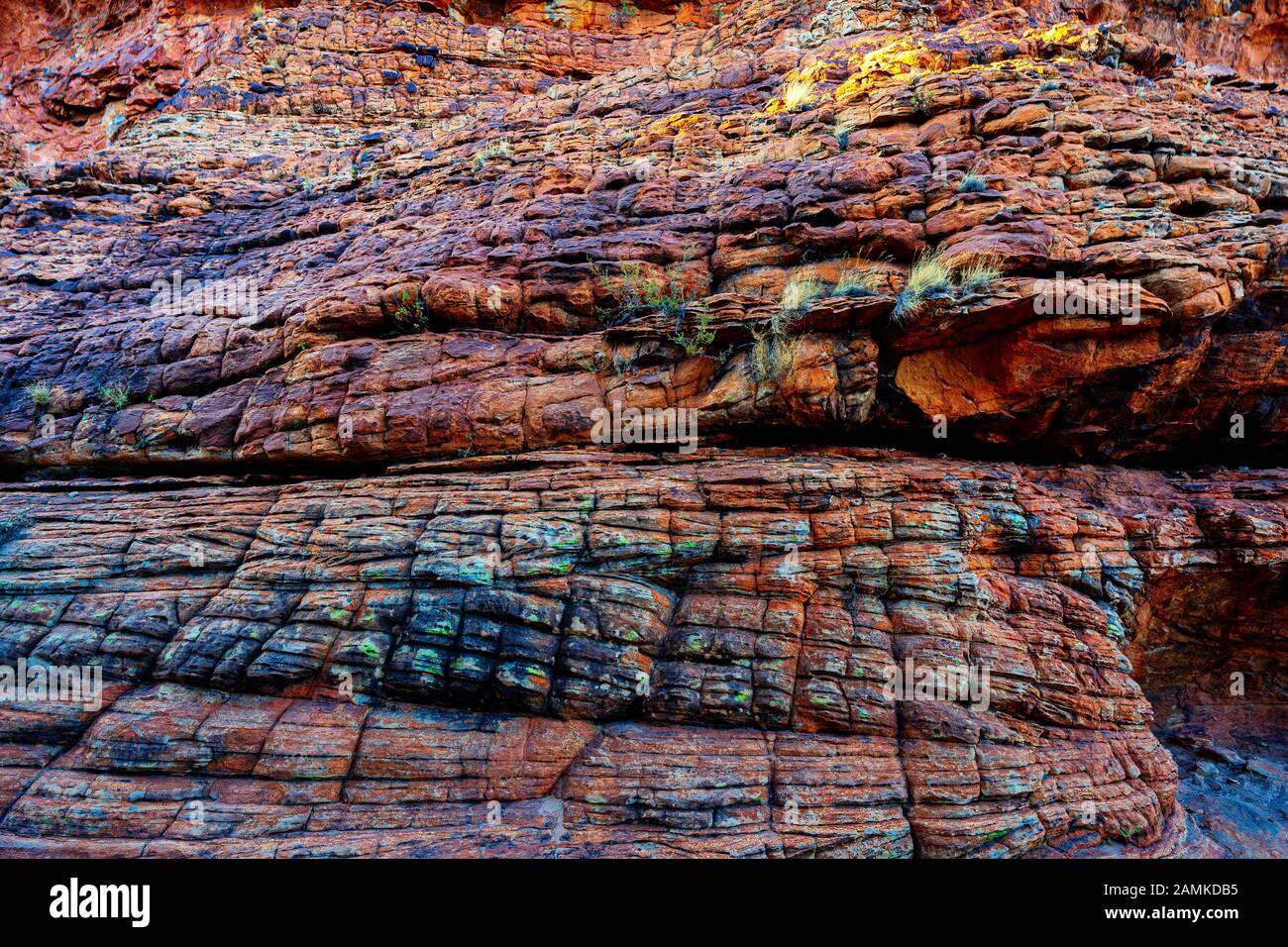 Traversez la literie dans les dômes de type ruche à Kings Canyon. C'est la preuve que la Mereenie Sandstone était à l'origine des dunes de sable. Banque D'Images