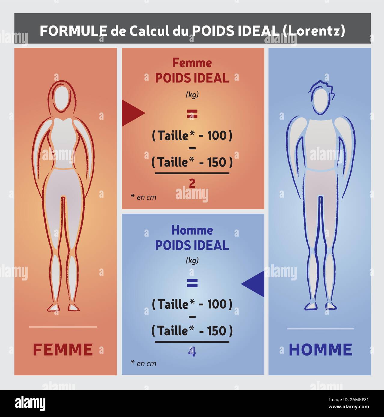 Découvrir 87 Imagen Formule De Calcul Poids Ideal Vn 