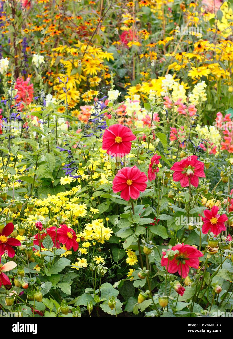 Légende 150/150 bordure de fleur De Fin d'été avec Rudbeckia 'Priairie Glow', série Antirrhinum 'Coronette', Agastache Blackadder et dahlias. ROYAUME-UNI Banque D'Images