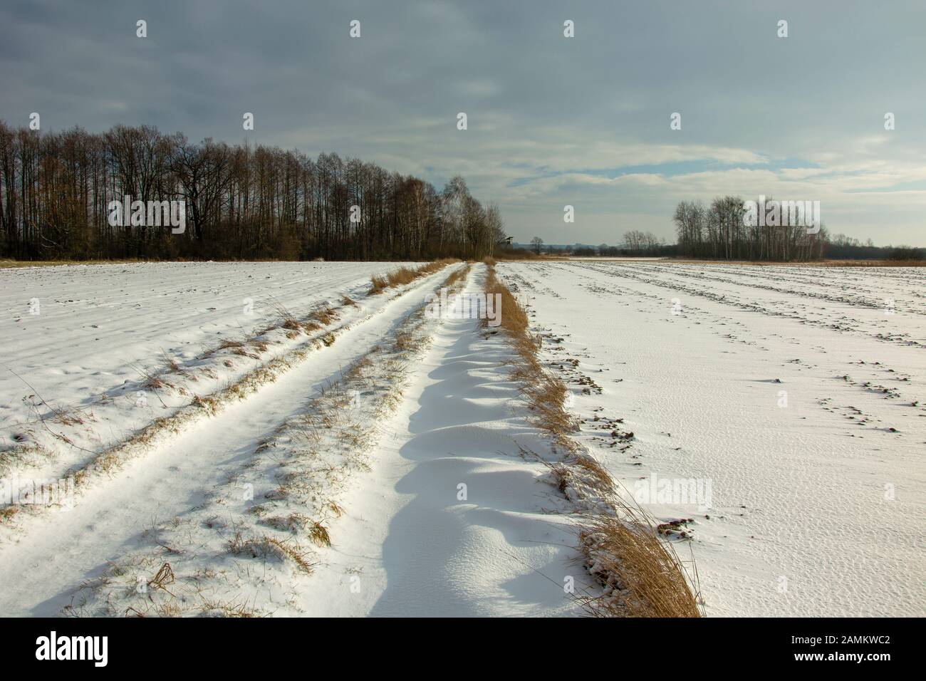 Une route de terre, recouverte de neige, de forêt et de nuages gris sur le ciel Banque D'Images