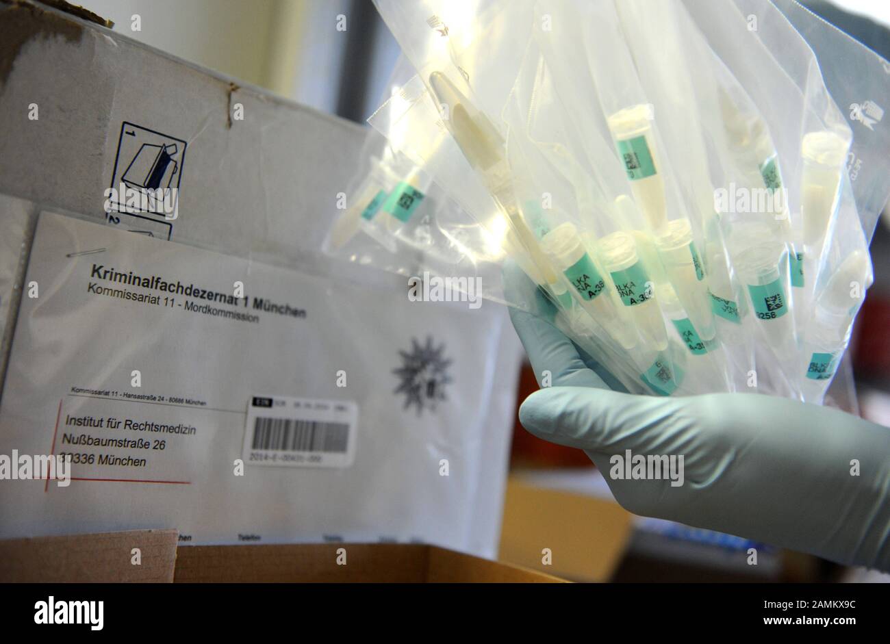 Birgit Bayer, responsable de laboratoire, examine des échantillons d'ADN à partir d'un test de masse en biologie moléculaire légale à l'Institut de médecine légale de Ludwig-Maximilians-Universität (LMU) à Nussbaumstraße. [traduction automatique] Banque D'Images