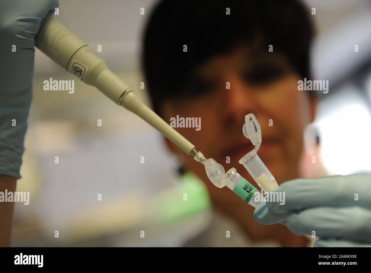 Birgit Bayer, responsable de laboratoire, examine des échantillons d'ADN à partir d'un test de masse en biologie moléculaire légale à l'Institut de médecine légale de Ludwig-Maximilians-Universität (LMU) à Nussbaumstraße. [traduction automatique] Banque D'Images