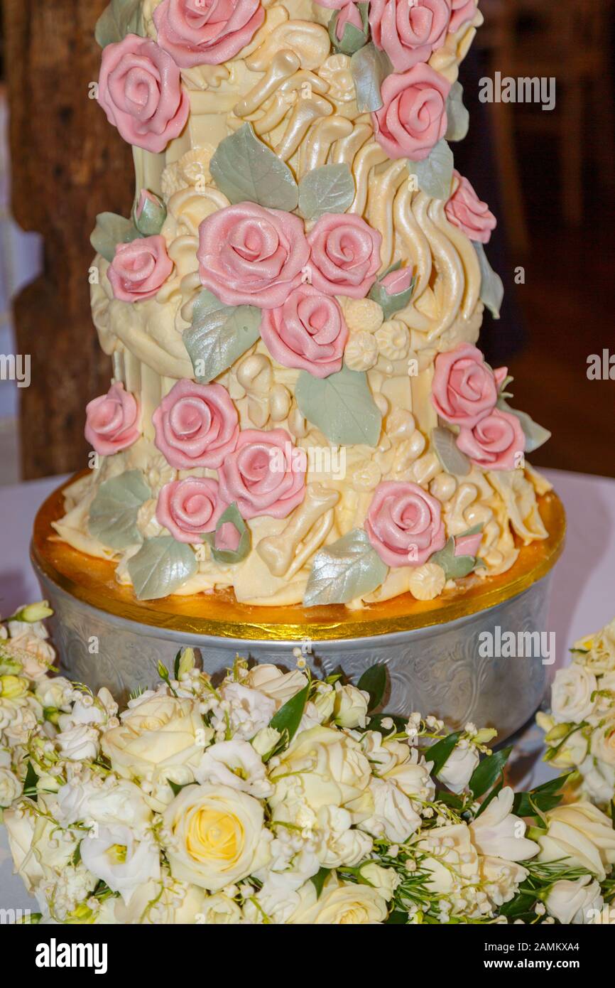 Gâteau De Mariage Au Chocolat Glacé Aux Couleurs Élaborées Avec Os De  Dinosaures À Glaçage Jaune Et Roses À Sucre Rose Fabriqués Par  Choccywoccydoodah De Brighton Photo Stock - Alamy