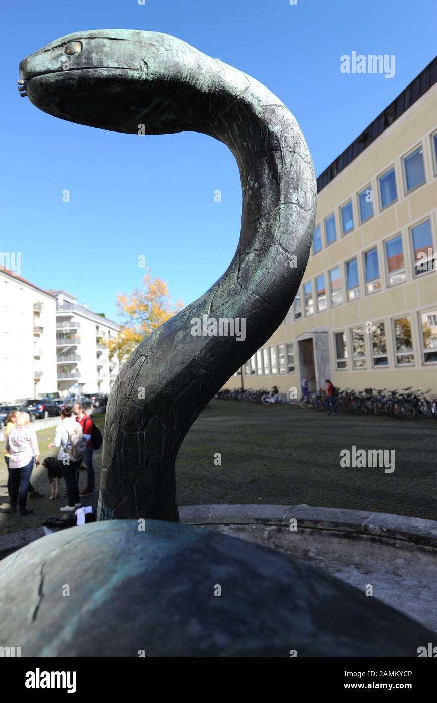 Sculpture de serpent sur le terrain de la Faculté vétérinaire de l'Université Ludwig-Maximilians de Munich à Veterinärstraße. [traduction automatique] Banque D'Images