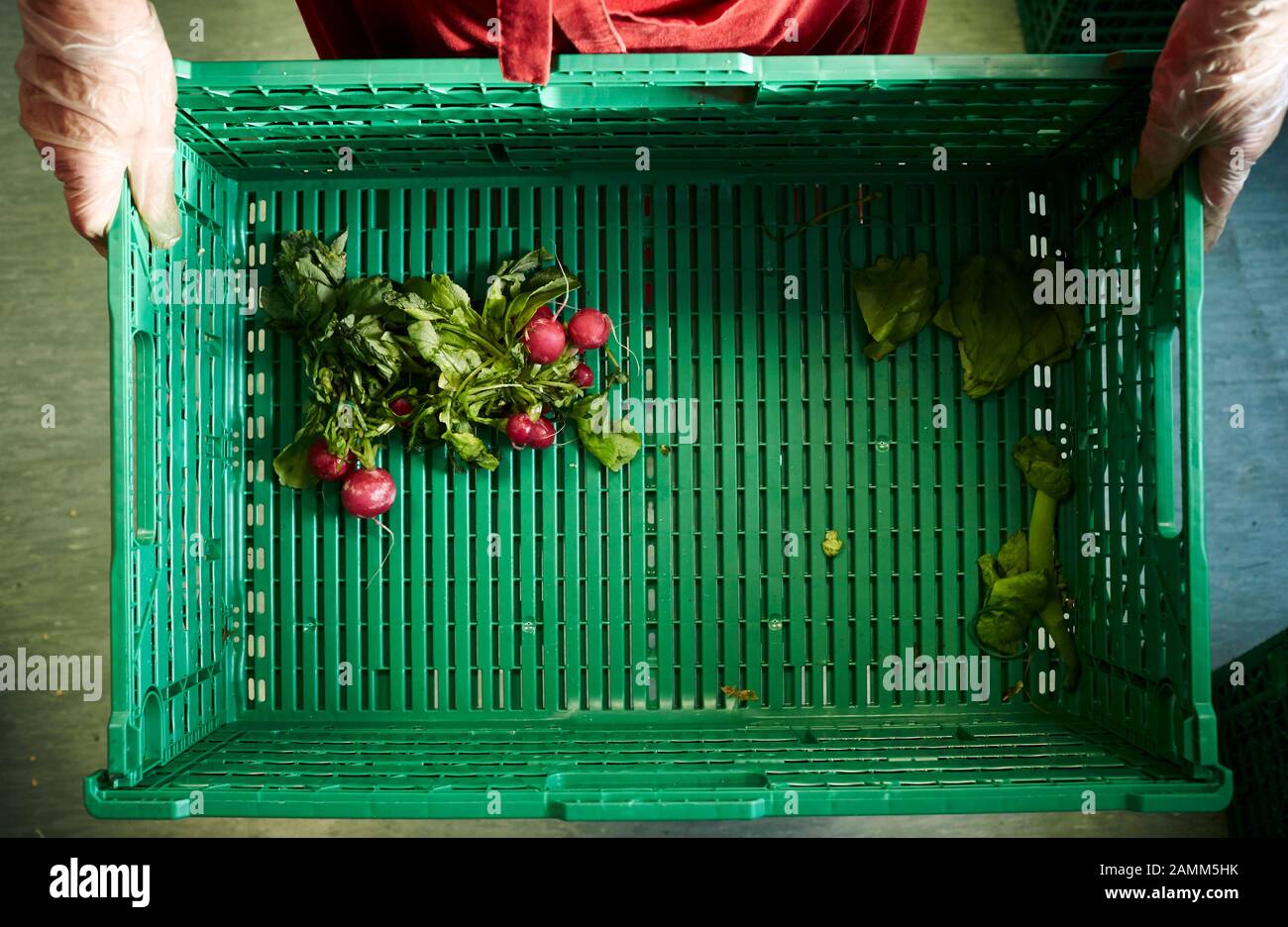 Boîte avec les produits de supermarché périmés donnés du Tafel Augsburger. [traduction automatique] Banque D'Images