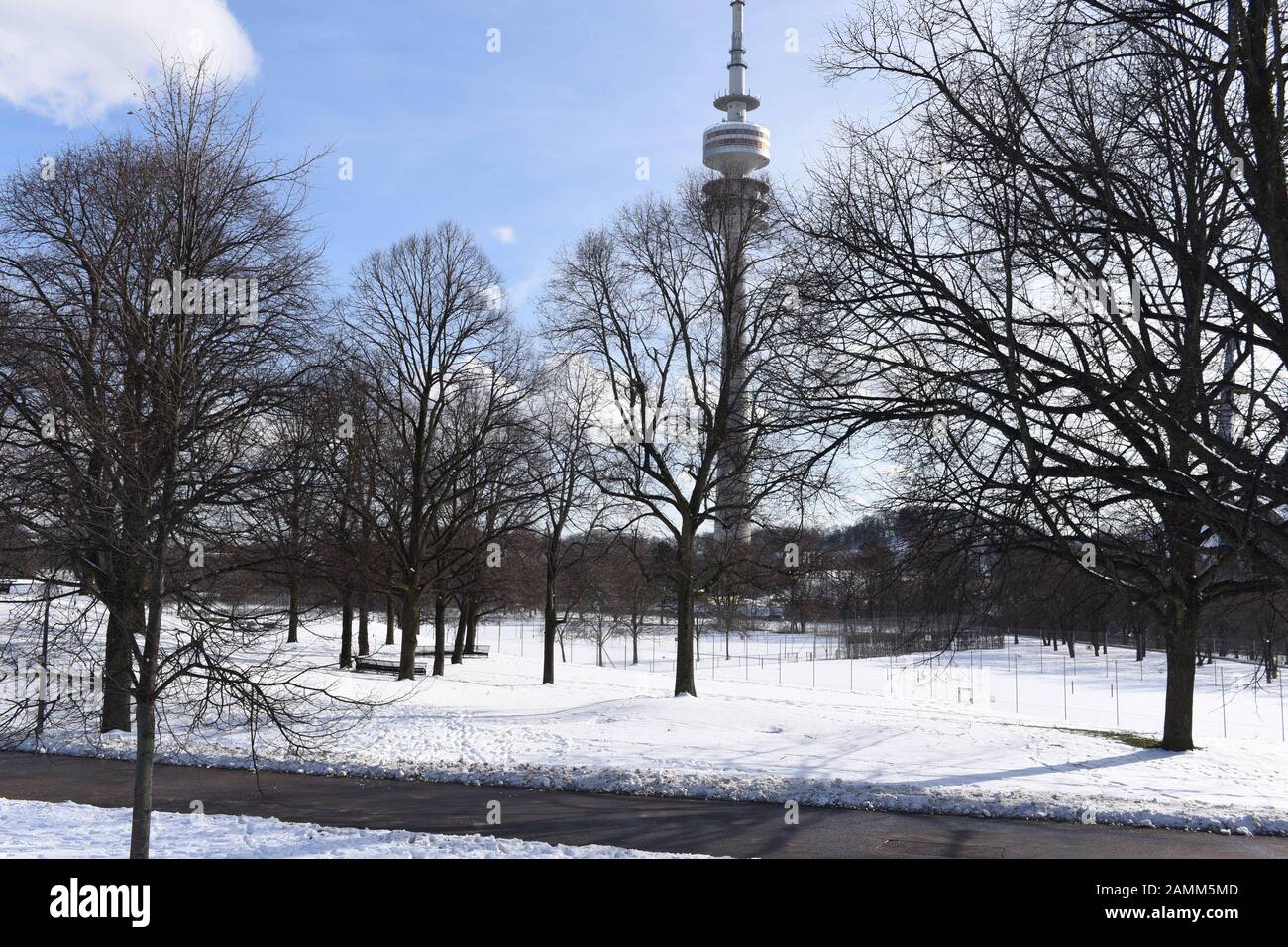 Le linden grove dans le parc olympique de Munich. Le mémorial aux victimes de la tentative d'assassinat aux Jeux olympiques de 1972 doit être construit ici. En arrière-plan la tour olympique. [traduction automatique] Banque D'Images