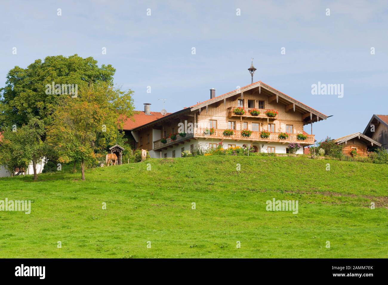 Farmstead à la Sechshögl, Communauté de Piding, Berchtesgadener Land, Rupertiwinkel, Haute-Bavière, Allemagne [traduction automatique] Banque D'Images
