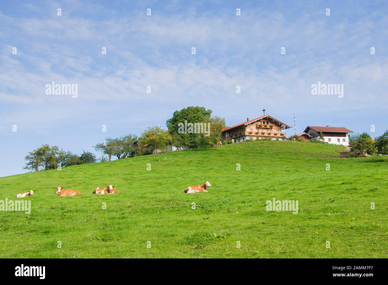 Farmstead à la Sechshögl, Communauté de Piding, Berchtesgadener Land, Rupertiwinkel, Haute-Bavière, Allemagne [traduction automatique] Banque D'Images