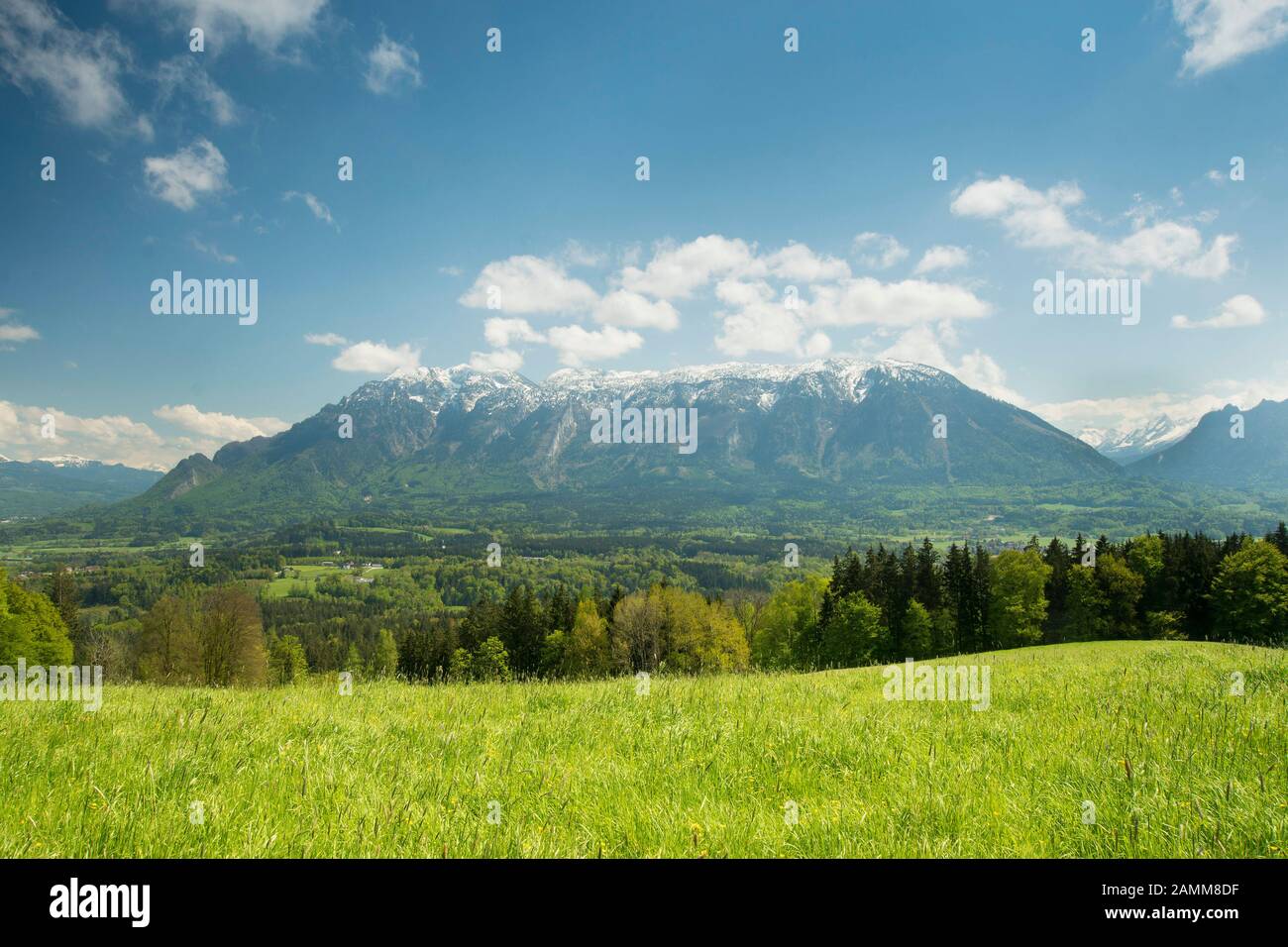 Panorama de Johannishögl avec le Untersberg encore enneigé [traduction automatique] Banque D'Images
