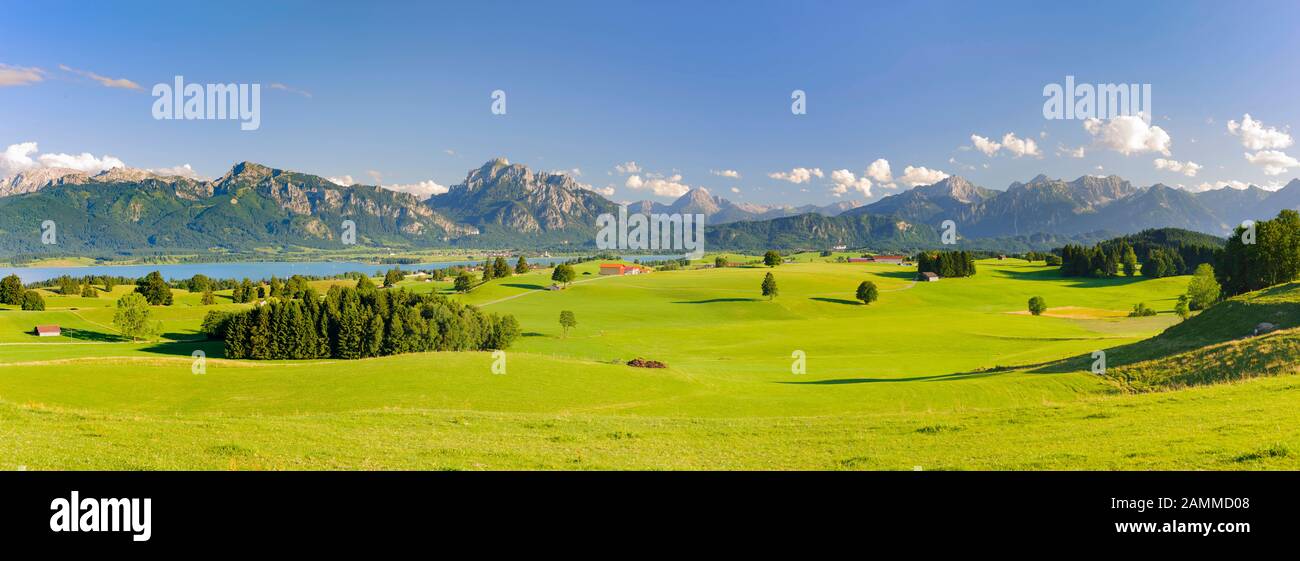 Paysage panoramique dans l'Allgäu près de Füssen avec la chaîne de montagnes des Alpes au lac Forggen [traduction automatique] Banque D'Images