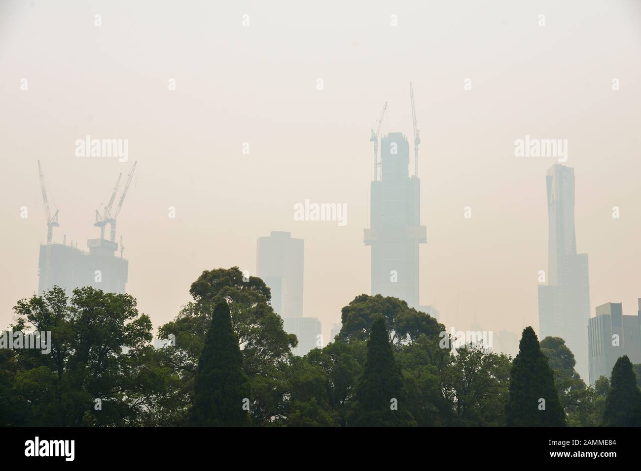 La fumée provenant des feux de brousse dangereux santé couvrant la ville de Melbourne avec des arbres en premier plan, Victoria, Australie Banque D'Images