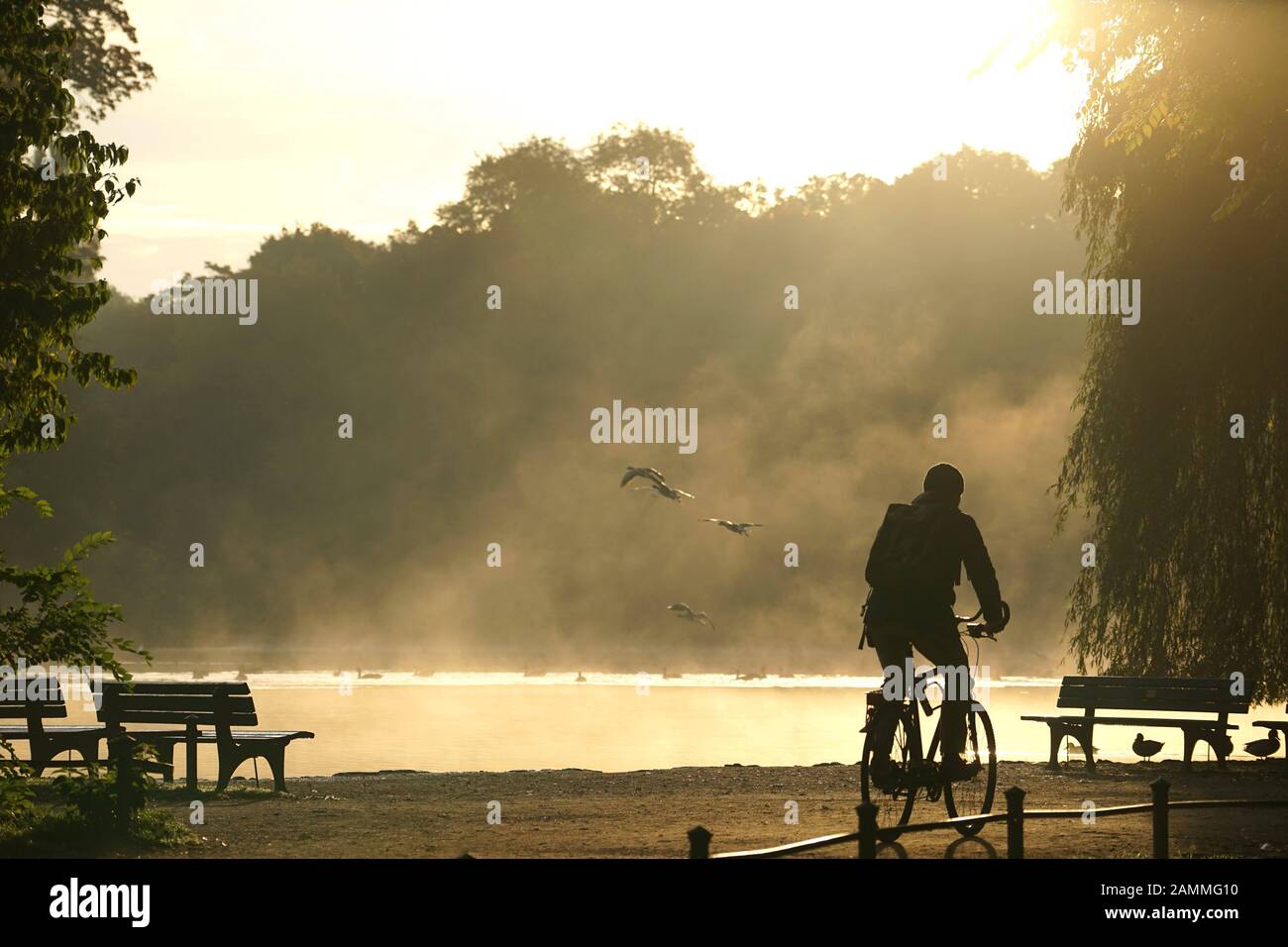 Ambiance d'automne avec soleil du matin et brouillard à Kleinhesseloher See  dans le jardin anglais. [traduction automatique] Photo Stock - Alamy