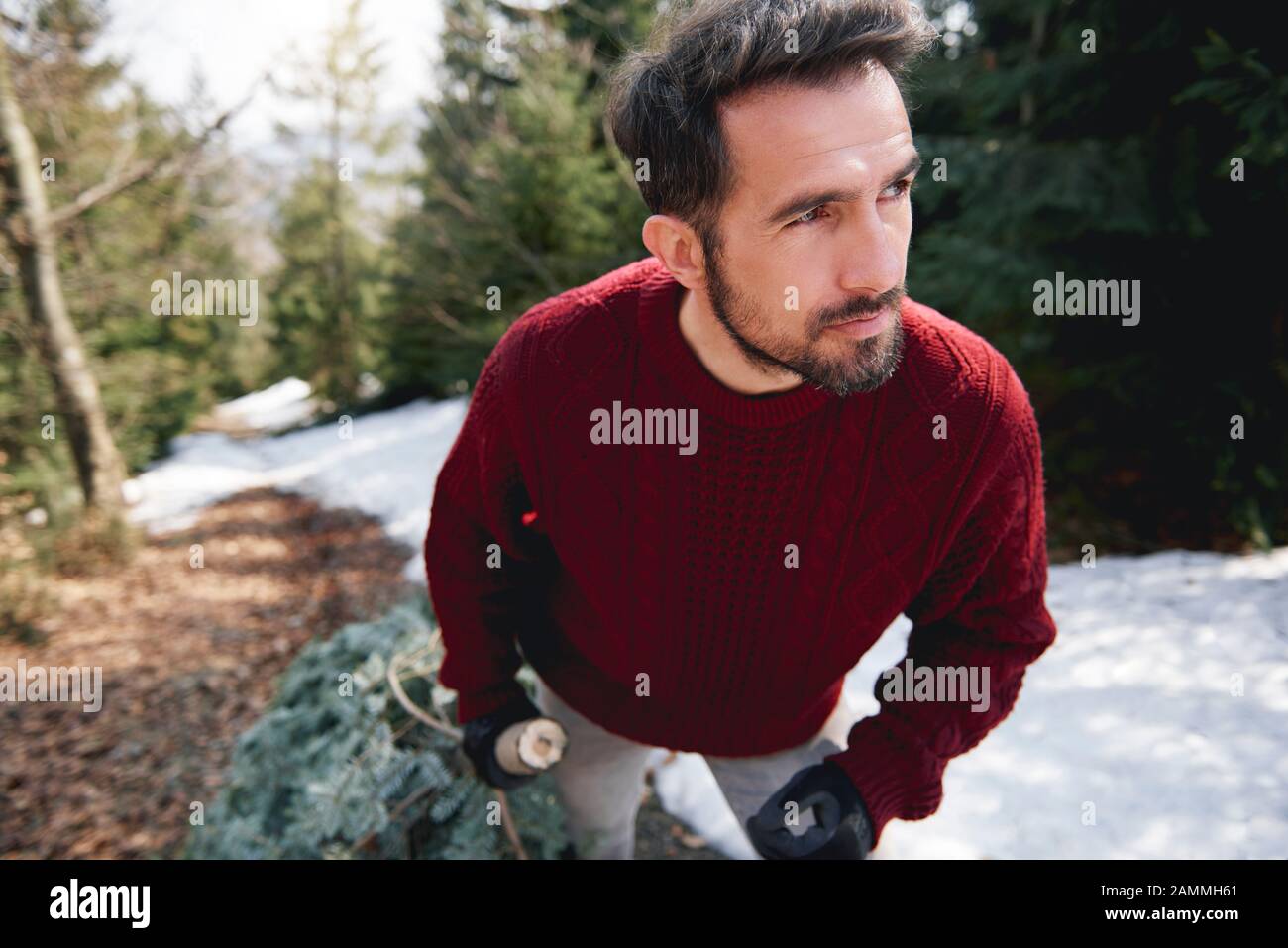 Gros plan sur l'homme portant l'arbre de Noël Banque D'Images