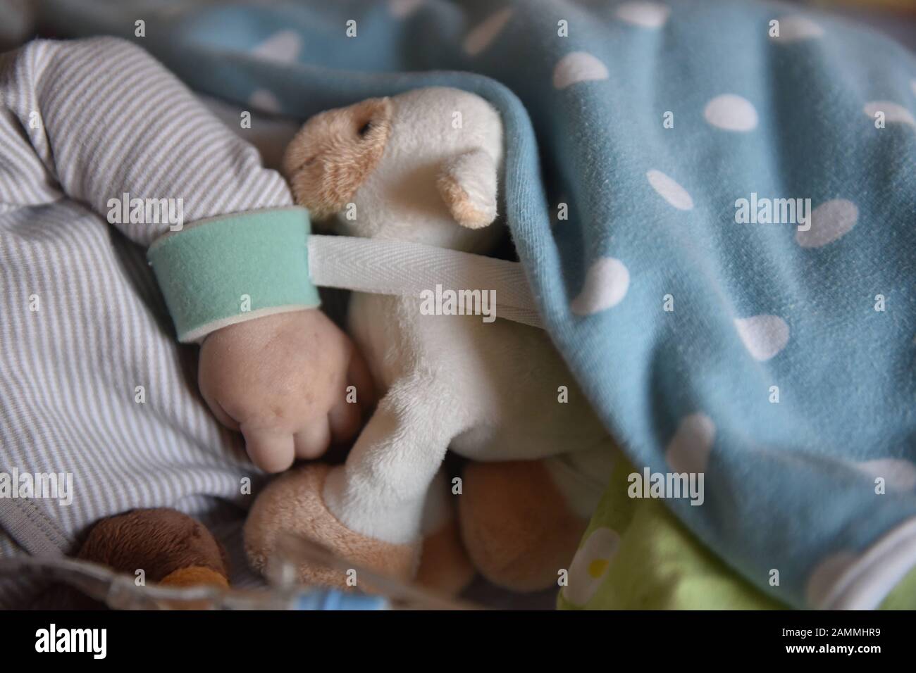 Un bébé malade repose avec son jouet doué sur un ventilateur à l'hôpital  pour enfants de Hauner à Munich. [traduction automatique] Photo Stock -  Alamy