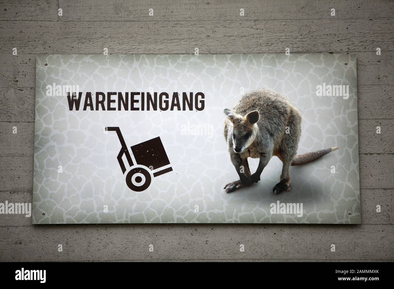 Panneau d'atelier avec l'inscription « réception des marchandises » et un kangourou dans le zoo de Munich Hellabronn. [traduction automatique] Banque D'Images