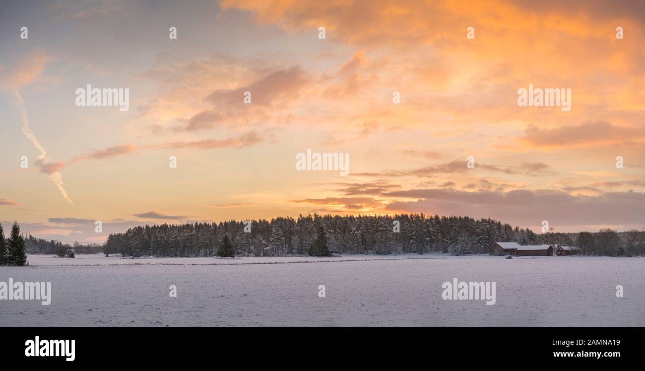 Paysage rural avec champs enneigés au lever du soleil, Suède, Scandinavie Banque D'Images