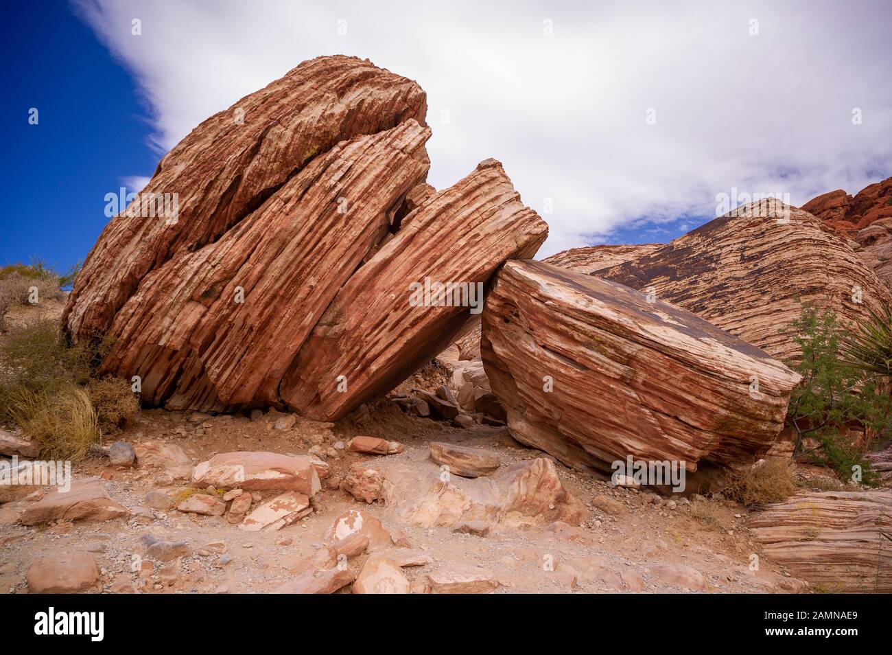 Red Rock Canyon National conservation Area dans le Nevada, près de Las Vegas, où il y a des randonnées à vélo et escalade. Banque D'Images