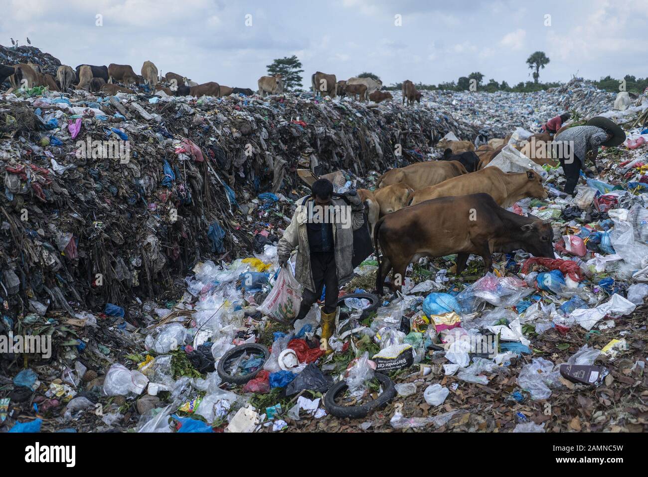 Le 14 janvier 2020, Lhokseumawe, Aceh, Indonésie: Les piégeurs recherchent une bouteille en plastique usagée dans une décharge de Lhokseumawe, province d'Aceh. Le rapport de la Banque mondiale montre qu'environ 105 mille tonnes métriques de déchets municipaux sont produites chaque jour en Indonésie. Ce chiffre devrait augmenter de 150 mille tonnes d'ici 2025. Les déchets municipaux mal gérés entreront dans les voies navigables et deviendront éventuellement un problème pour les océans indonésiens. L'analyse réalisée par la Banque mondiale en 2018 dans 15 villes du centre et de l'ouest de l'Indonésie montre que la composition des déchets municipaux varie, 44% de déchets organiques, 21% d Banque D'Images