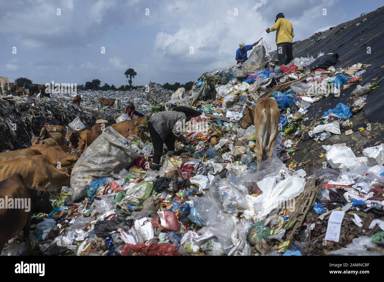 Lhokseumawe, Aceh, Indonésie. 14 janvier 2020. Les piégeurs recherchent des bouteilles en plastique d'occasion dans une décharge de Lhokseumawe, province d'Aceh. Le rapport de la Banque mondiale montre qu'environ 105 mille tonnes métriques de déchets municipaux sont produites chaque jour en Indonésie. Ce chiffre devrait augmenter de 150 mille tonnes d'ici 2025. Les déchets municipaux mal gérés entreront dans les voies navigables et deviendront éventuellement un problème pour les océans indonésiens. L'analyse réalisée par la Banque mondiale en 2018 dans 15 villes du centre et de l'ouest de l'Indonésie montre que la composition des déchets municipaux varie, 44% de déchets organiques, 21% d Banque D'Images