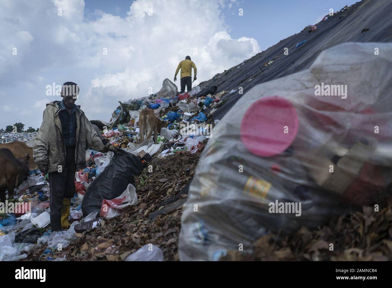 Le 14 janvier 2020, Lhokseumawe, Aceh, Indonésie: Les piégeurs recherchent une bouteille en plastique usagée dans une décharge de Lhokseumawe, province d'Aceh. Le rapport de la Banque mondiale montre qu'environ 105 mille tonnes métriques de déchets municipaux sont produites chaque jour en Indonésie. Ce chiffre devrait augmenter de 150 mille tonnes d'ici 2025. Les déchets municipaux mal gérés entreront dans les voies navigables et deviendront éventuellement un problème pour les océans indonésiens. L'analyse réalisée par la Banque mondiale en 2018 dans 15 villes du centre et de l'ouest de l'Indonésie montre que la composition des déchets municipaux varie, 44% de déchets organiques, 21% d Banque D'Images