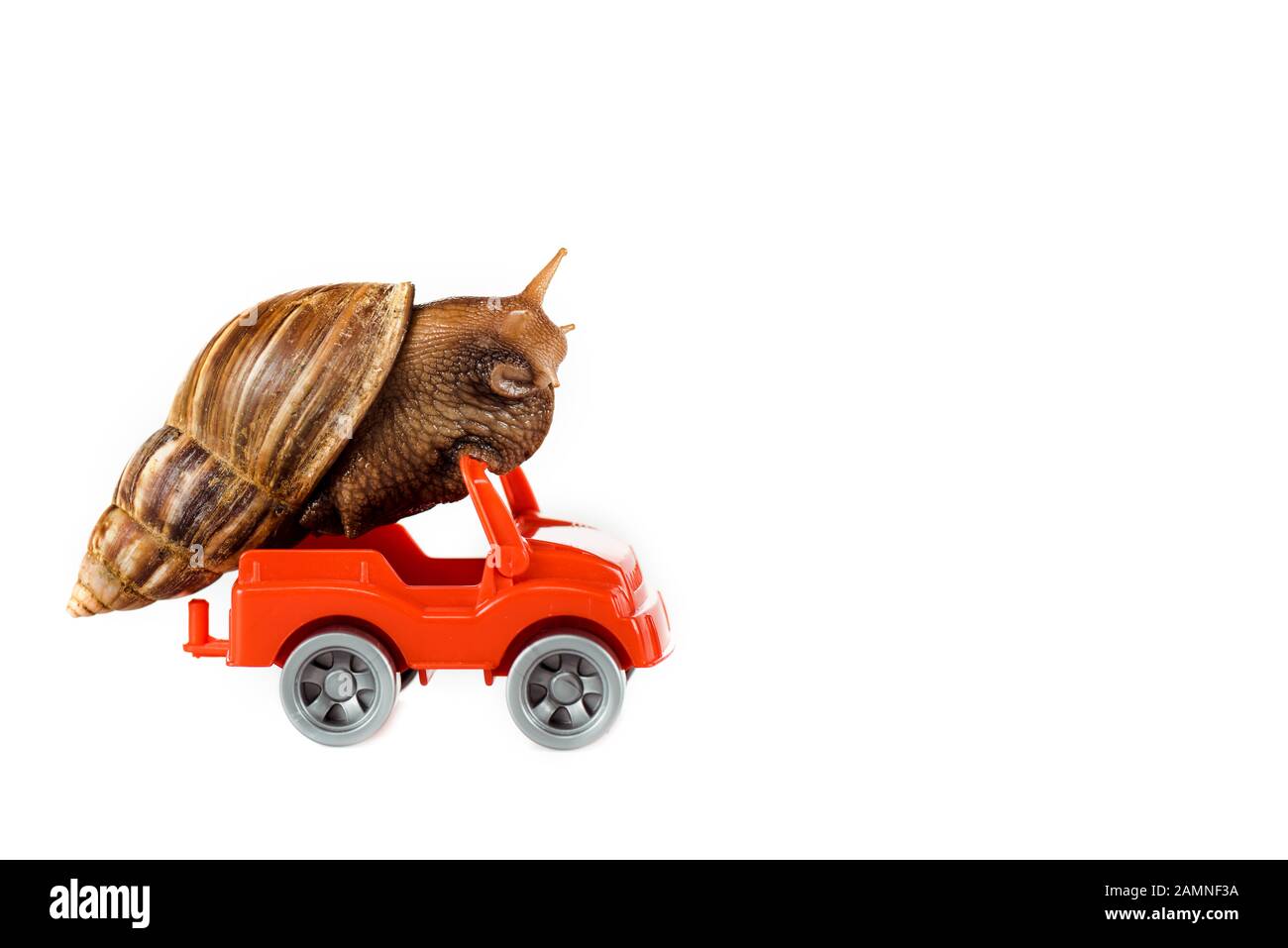 Vvikizy Jouet à tirer Escargots pour tout-petit - Jeux - Jouets