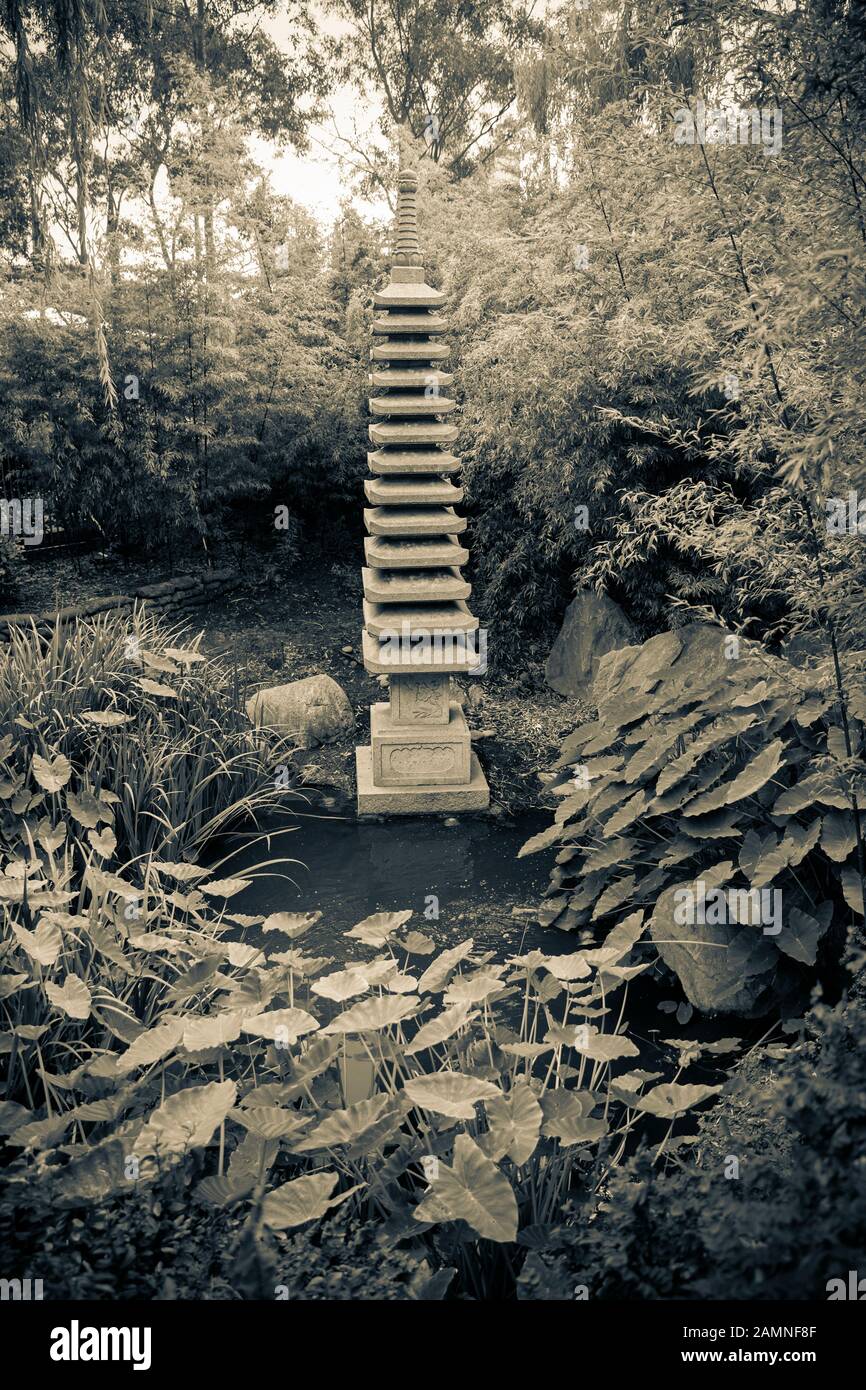 Australie, Sydney, Nouvelle-Galles du Sud, jardin d'amitié chinois, jardin Banque D'Images