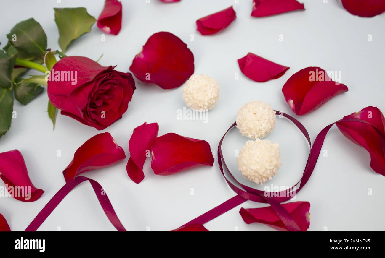 Saint Valentin, Saint Valentin, Saint Valentin, Saint Valentin fond, Saint Valentin fond, rose rouge et pétales de rose rose rose rose rose rose avec un coeur et un ruban rouge sur une merde Banque D'Images