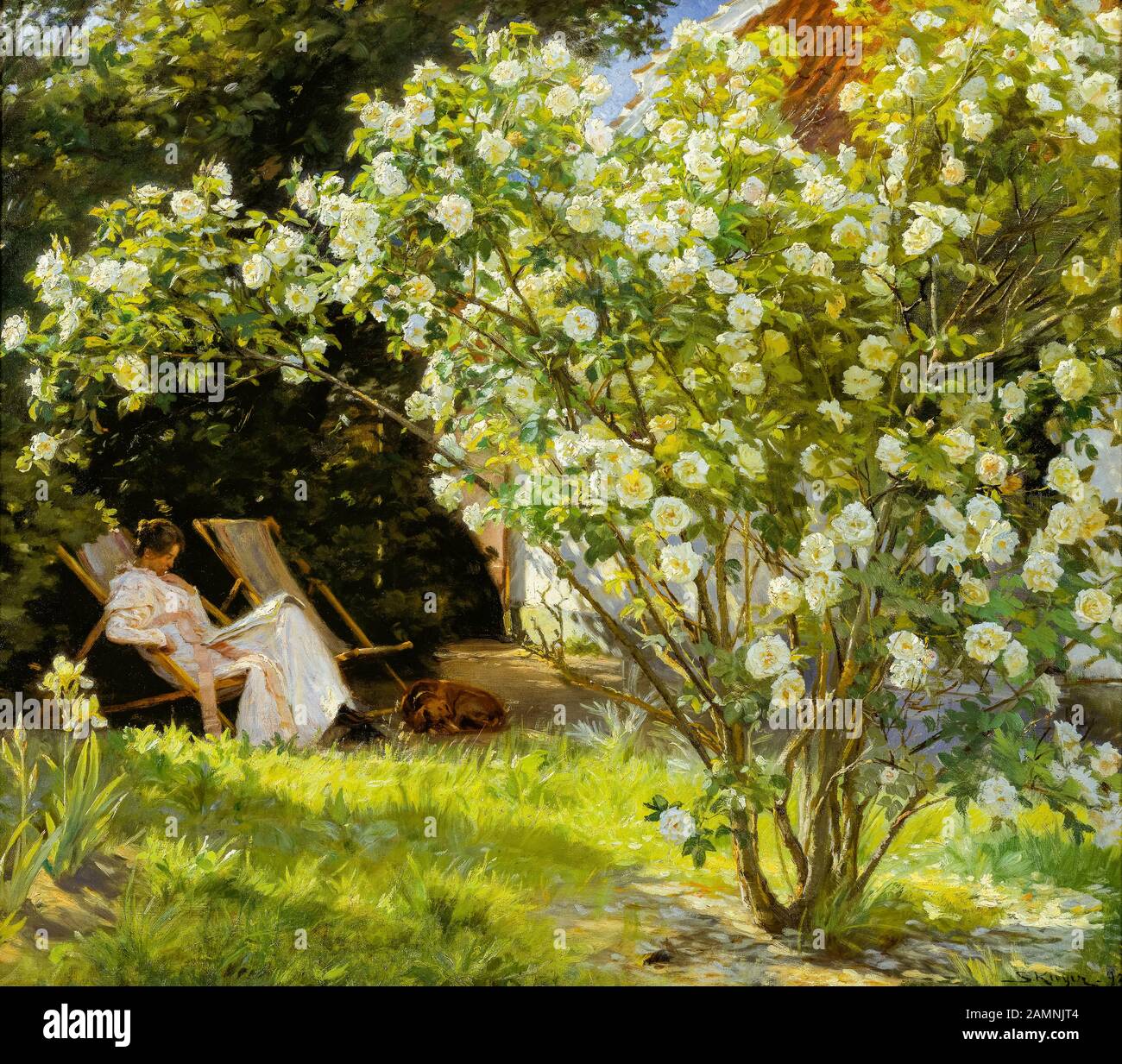 Peder Severin Krøyer, Roses, Marie Krøyer assis dans la chaise longue dans le jardin par la maison de Mme Bendsen, peinture, 1893 Banque D'Images