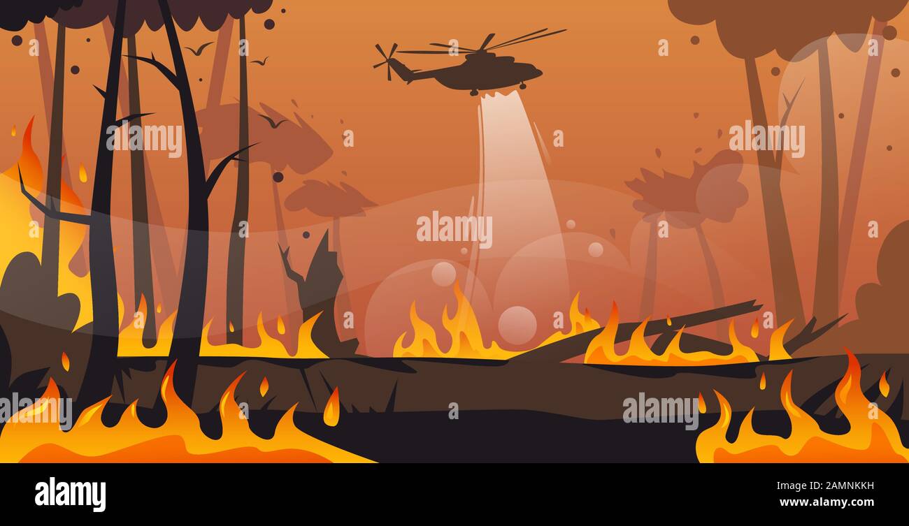 hélicoptère éteint les feux de forêt dangereux en australie lutte contre le feu de brousse bois sec bois brûlant arbres lutte contre le feu catastrophe naturelle concept intense flammes orange illustration vectorielle horizontale Illustration de Vecteur