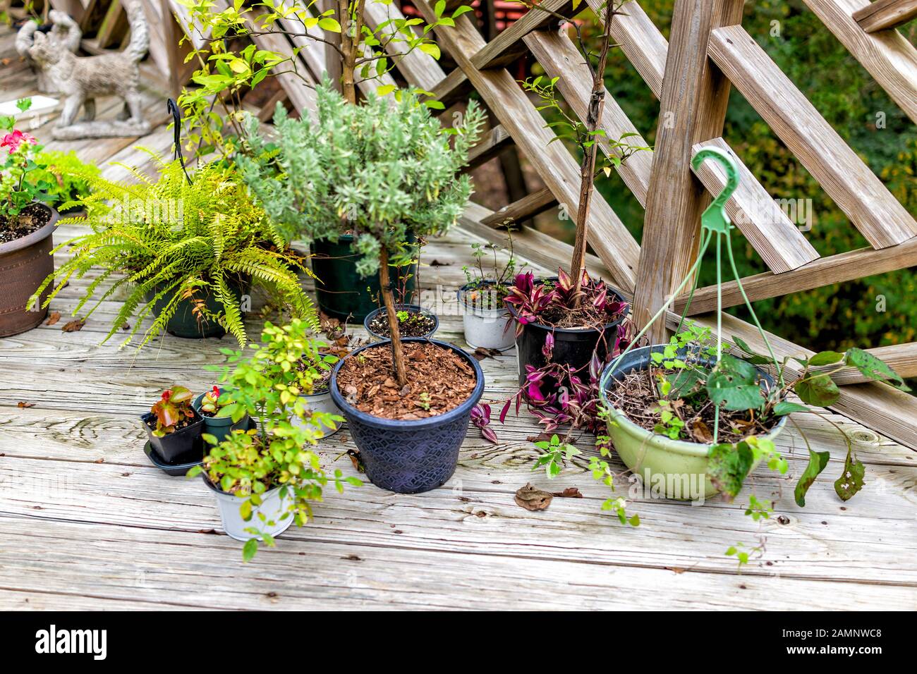 Terrasse Ou Véranda Grillage En Bois. élément Décoratif. Détails En Bois De  L'architecture De La Maison De Campagne Extérieur Image stock - Image du  croix, barrière: 260123349