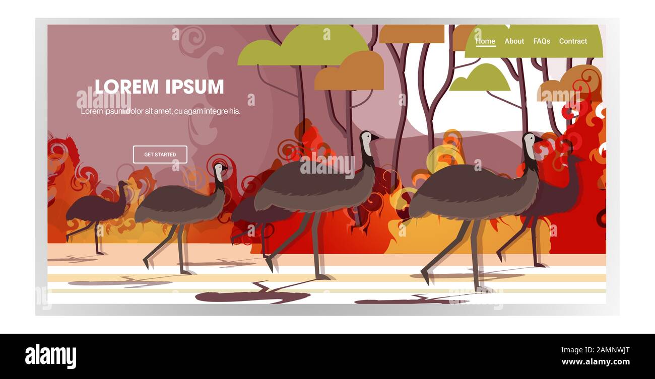 autruche ou émeu provenant de feux de forêt en australie animaux mourant dans des feux de forêt bushfire brûlant arbres catastrophe naturelle concept intense de flammes orange horizontal copie espace illustration vectorielle Illustration de Vecteur