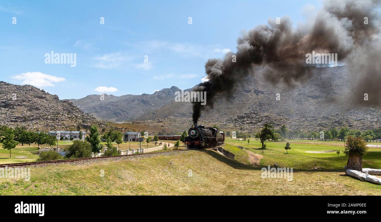 Ceres, Western Cape, Afrique du Sud. Décembre 2019. Machine à vapeur transportant des voitures à la fête de la cerise annuel sur Ceres golf course Banque D'Images