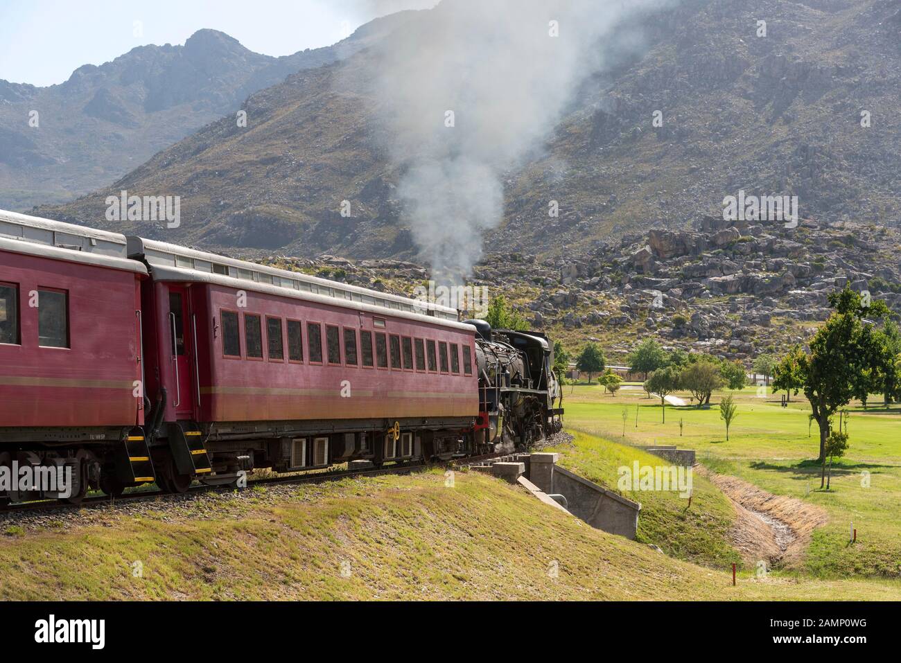 Ceres, Western Cape, Afrique du Sud. Décembre 2019. Machine à vapeur transportant des voitures à la fête de la cerise annuel sur Ceres golf course Banque D'Images