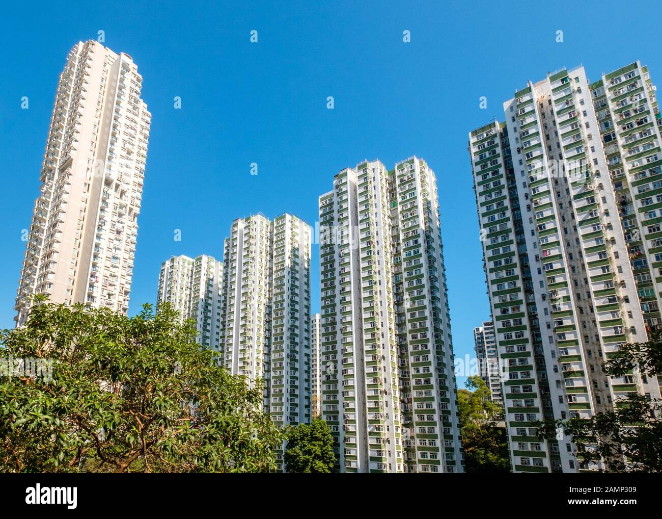 Gratte-ciel immeubles d'appartements, immobilier résidentiel, HongKong - Banque D'Images