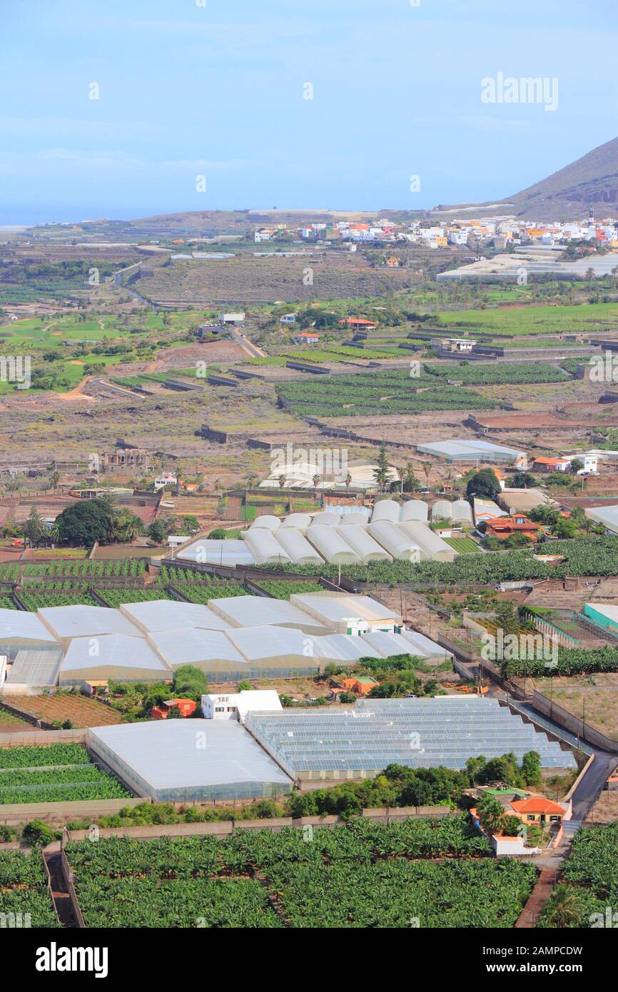 Fermes à Tenerife - hothouses et plantations de bananes. Paysage rural à Buenavista del Norte. Banque D'Images