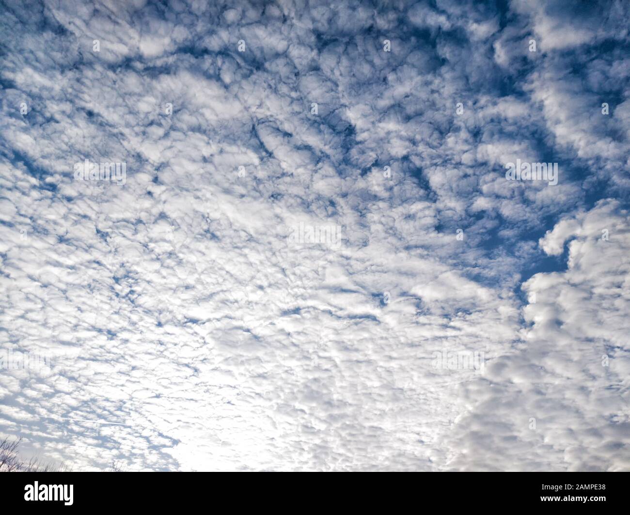 De nombreux nuages blancs sur fond bleu ciel - vue au-dessus du parc Banque D'Images