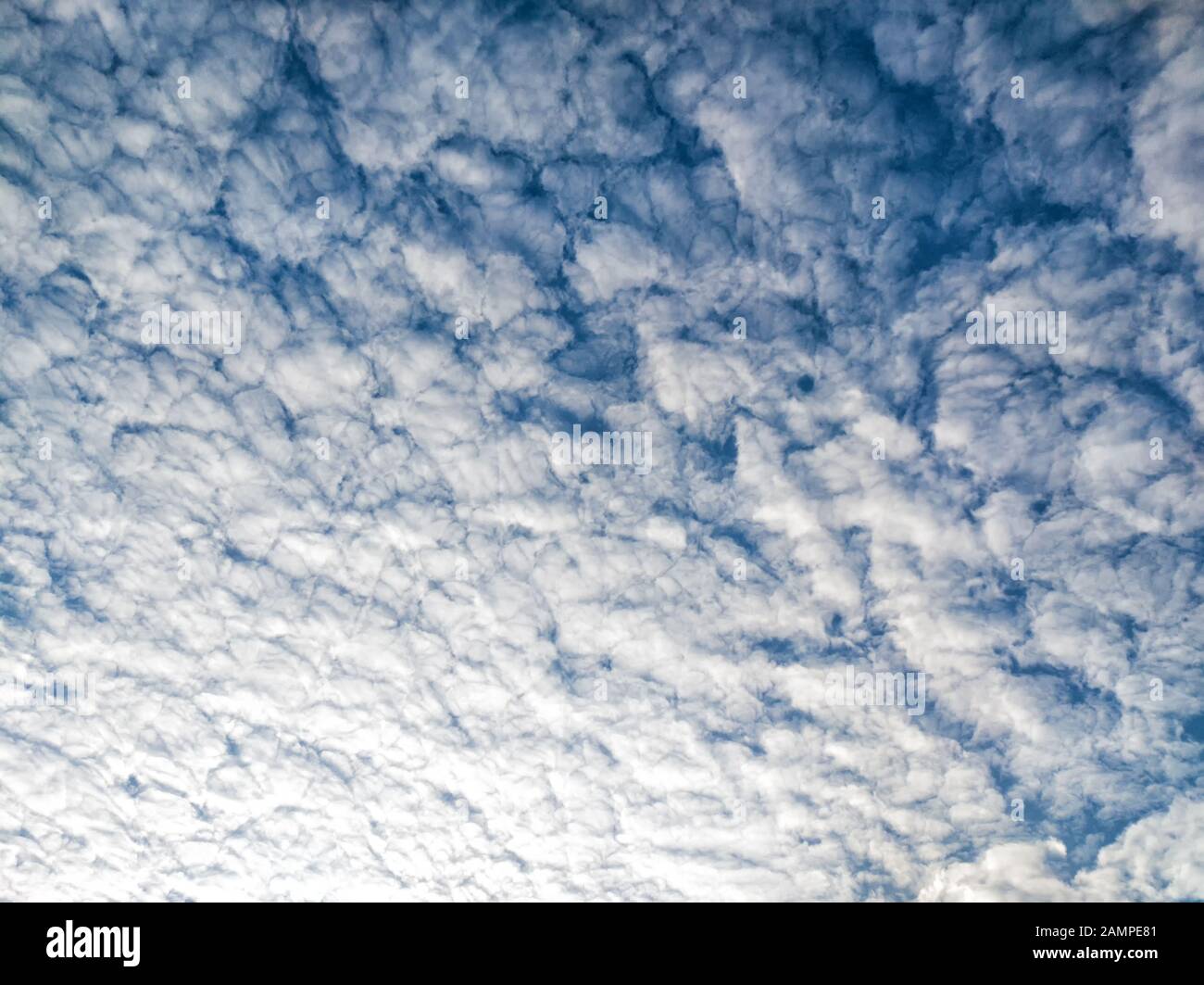 De nombreux nuages blancs sur fond bleu ciel - vue au-dessus du parc Banque D'Images