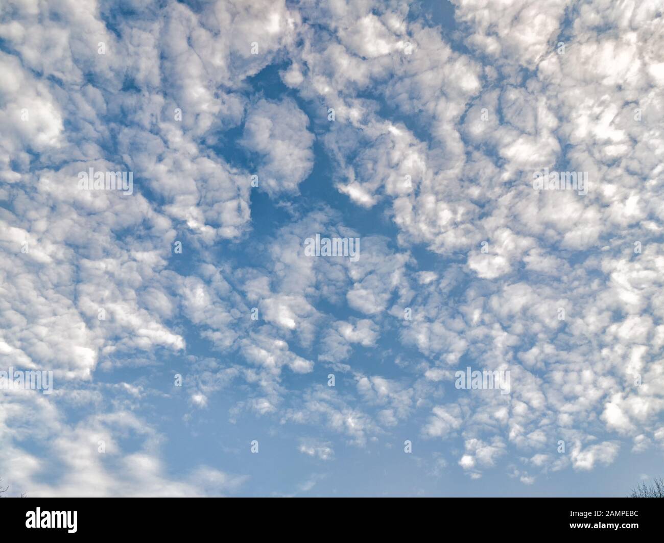 De nombreux nuages blancs sur fond bleu ciel - vue au-dessus du parc Banque D'Images