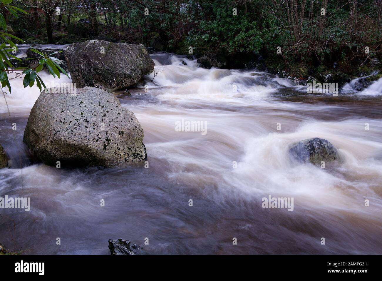 L'exposition lente tourné de rapids blancs de l'eau sur une rivière dans le comté de Wicklow, en Irlande. Banque D'Images