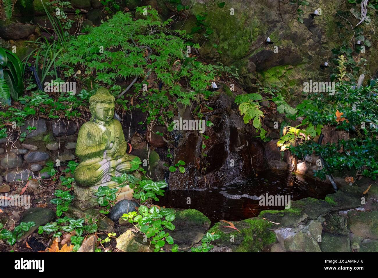 Statue de Bouddha à côté d'une cascade sur Macondray Lane à San Francisco, Californie. Banque D'Images