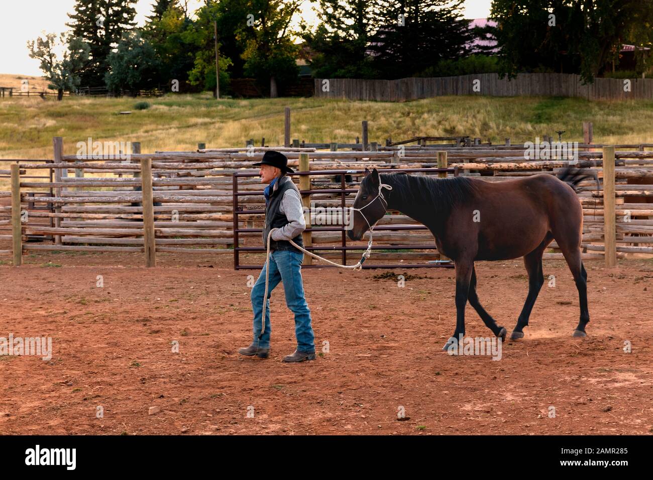 WY04060-00...WYOMING - Ord Buckingham menant son cheval à travers le corral sur le Willow Creek Ranch. M.# B20 Banque D'Images