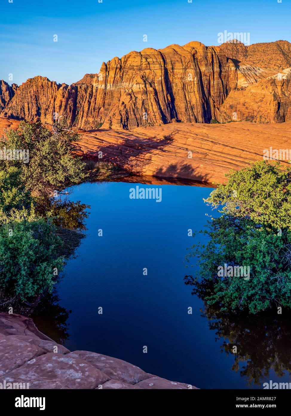 Pothole Rempli D'Eau, Dunes Pétrifiées, Parc National De Snow Canyon, Saint George, Utah. Banque D'Images