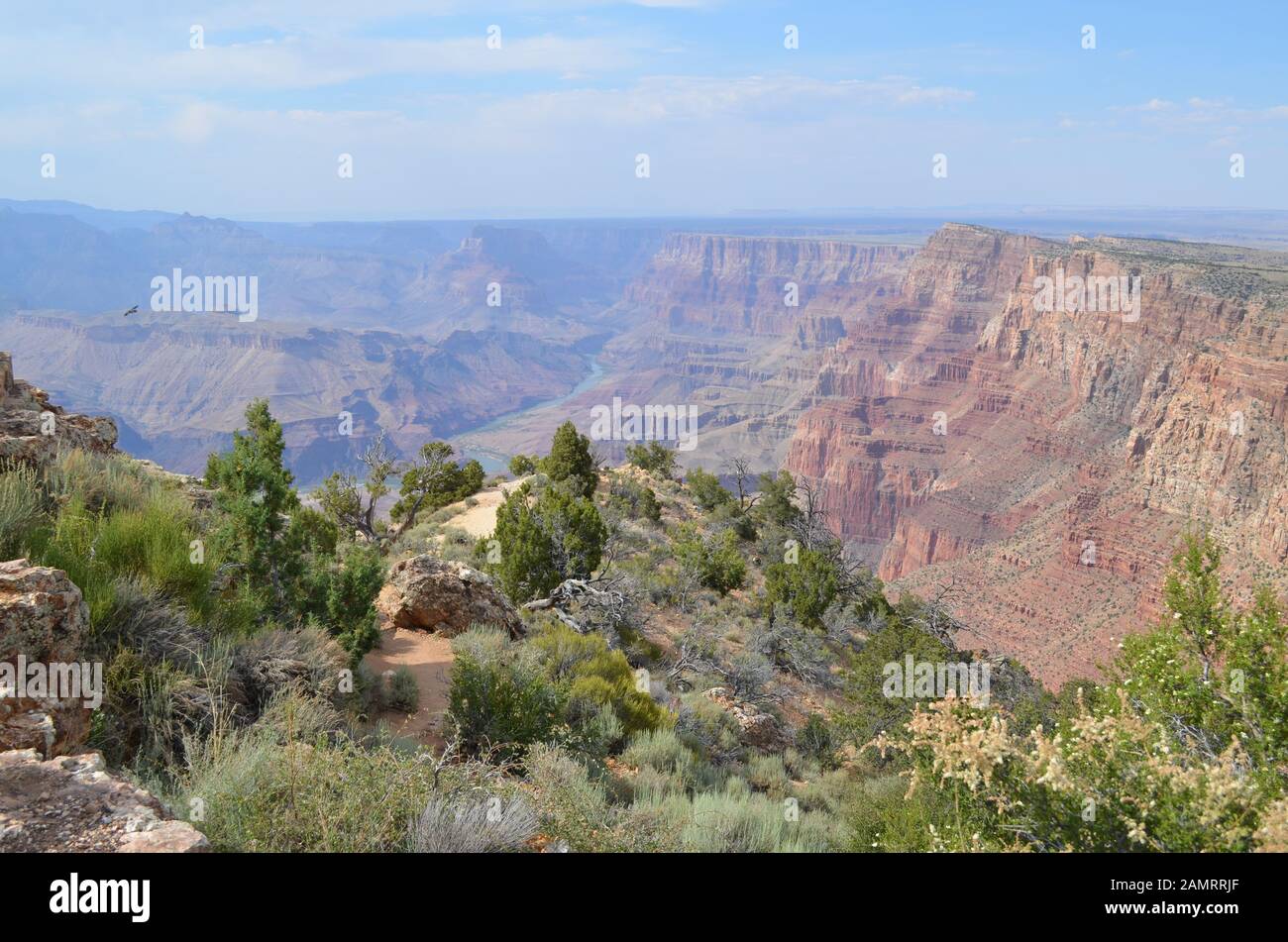 L'Été Au Grand Canyon : Comanche Point, Tanner Canyon, Colorado River, Lava Canyon, Chuar Butte Et Cape Solitude Vu De Desert View Watchtower Banque D'Images